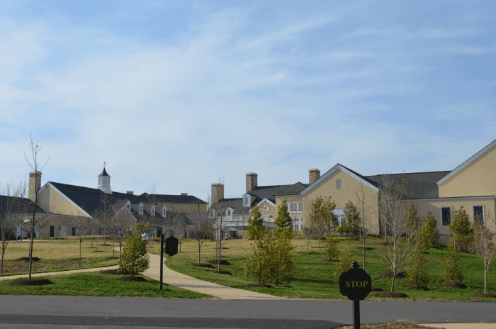 Wining and Dining in Historic Horse Country: Things to do in Middleburg, Virginia