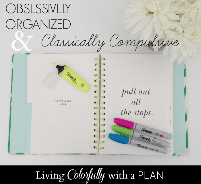 Organization, Planner, Sharpie, Sharpie Clearview, Pollinate