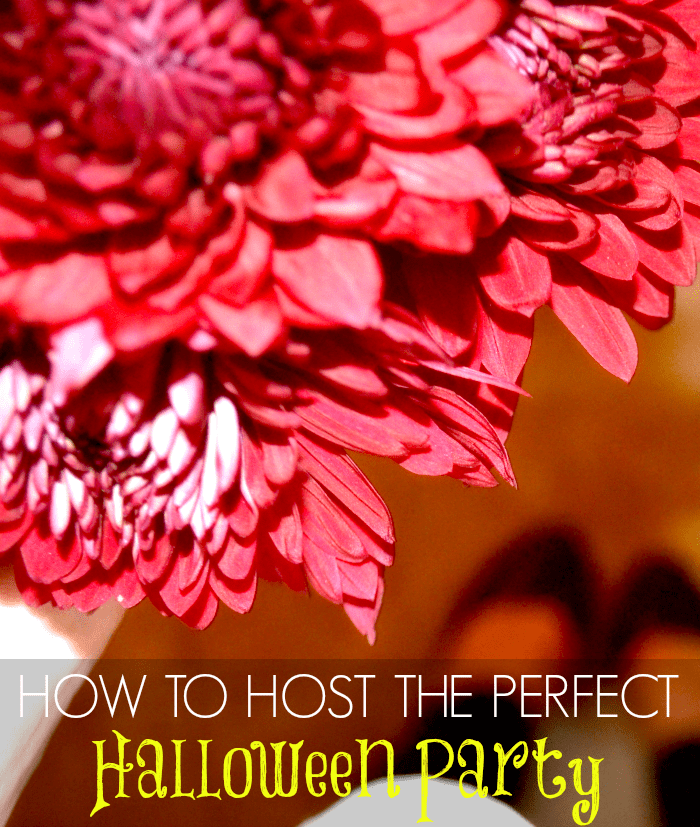 Halloween, Candy, Fall, Halloween Decorations, Recipes