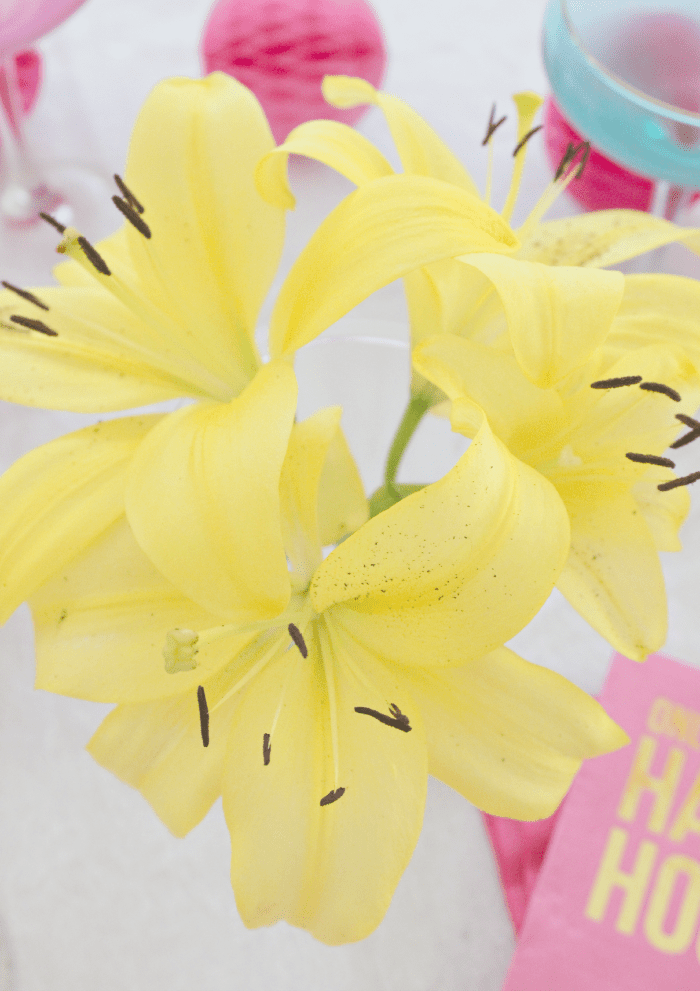 Cute summer pool party ideas from my annual pool party