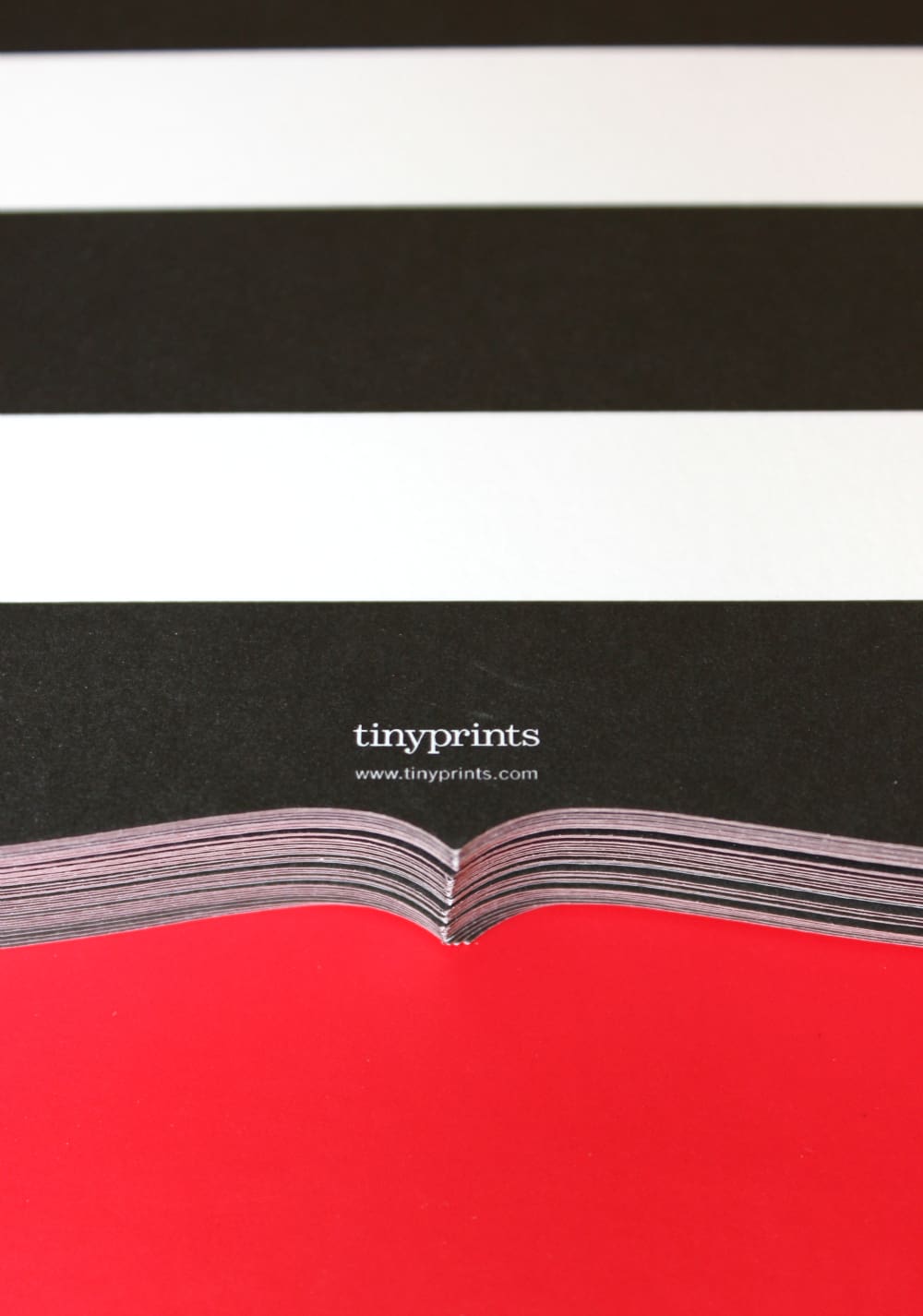 Tiny Prints Holiday Cards, Tiny Prints Personalized Gifts, Holiday Cards, Personalized Gifts, Tiny Prints, Stephanie Ziajka, Diary of a Debutante