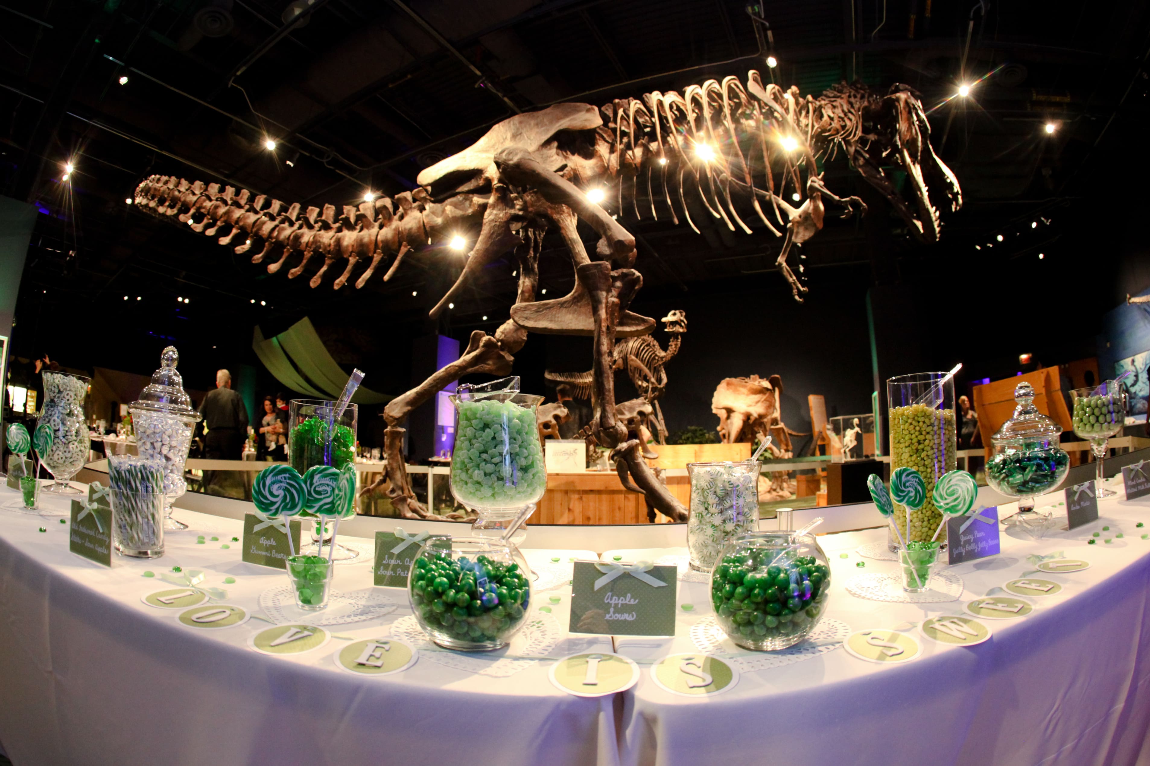 Orlando Travel Guide, Visit Orlando, Visit Florida, Stephanie Ziajka, Diary of a Debutante, Orlando Science Center