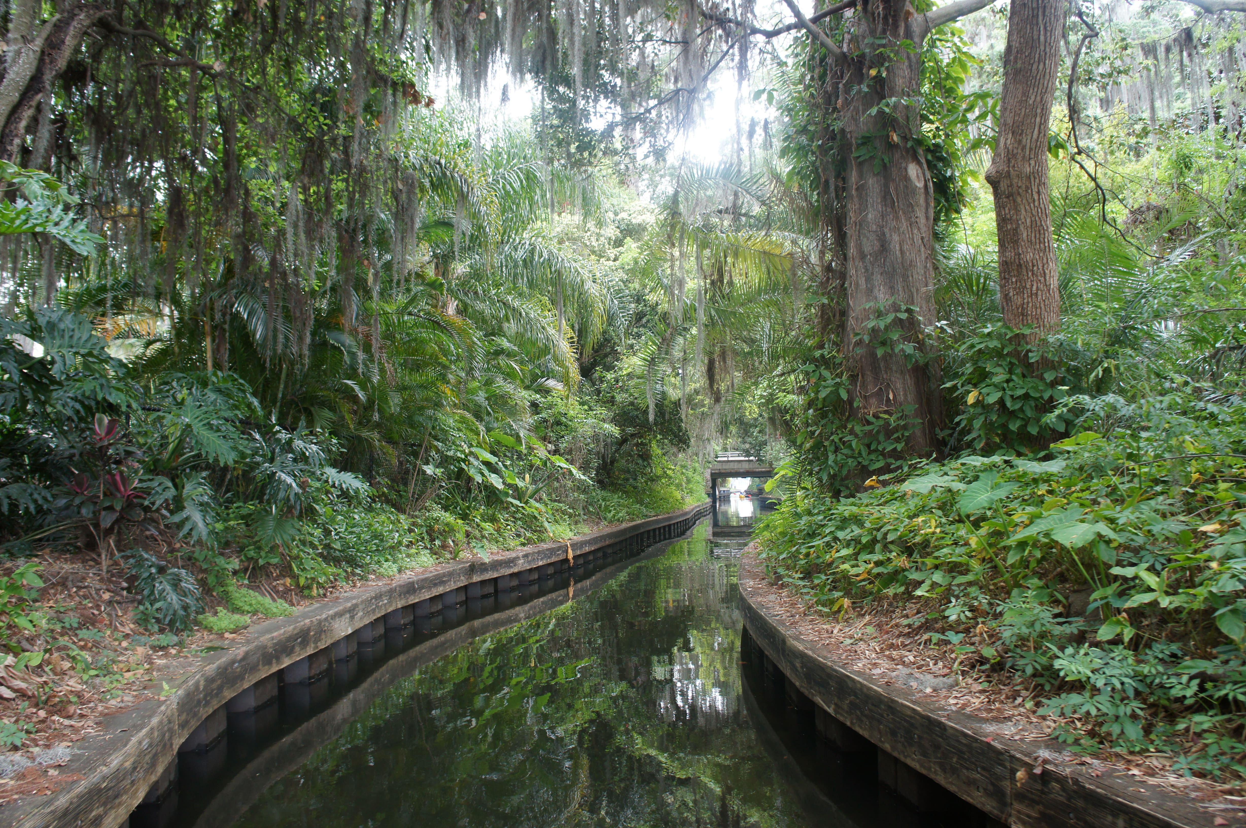 Orlando Travel Guide, Visit Orlando, Visit Florida, Winter Park Boat Tours, Stephanie Ziajka, Diary of a Debutante