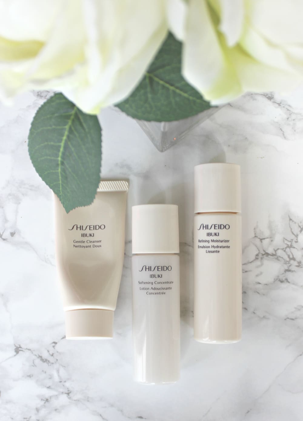 Shiseido, Shiseido IBUKI, Skin Care, Giveaway, Stephanie Ziajka, Diary of a Debutante