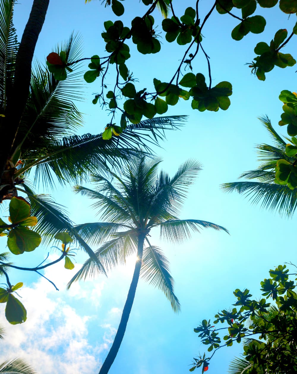 Best Nine, Top Blog Posts, Top Blog Posts 2015, Stephanie Ziajka, Diary of a Debutante, Hawaii, Kailua-Kona