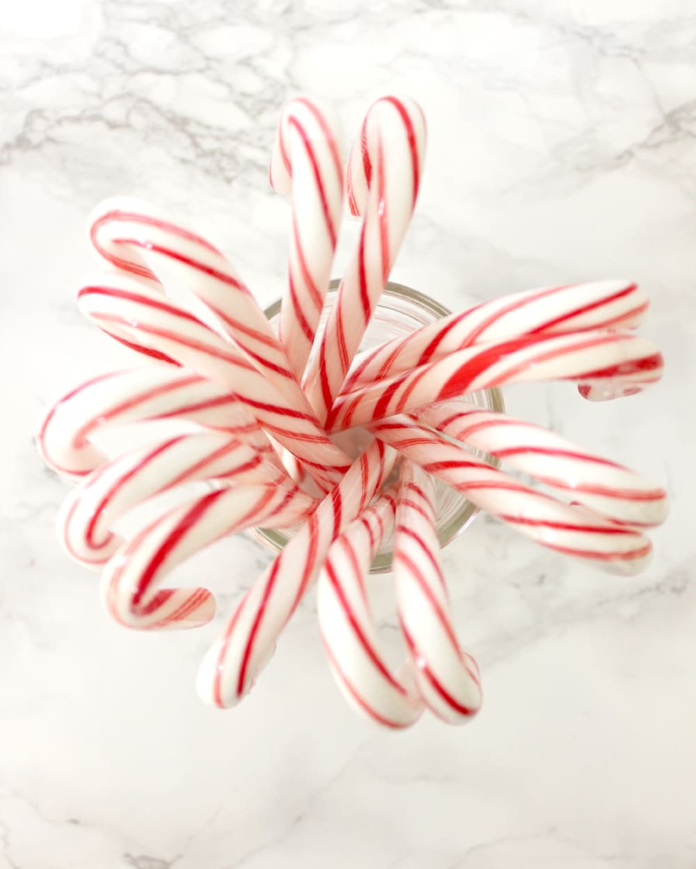 Candy canes in a mason jar photographed by Stephanie Ziajka on Diary of a Debutante