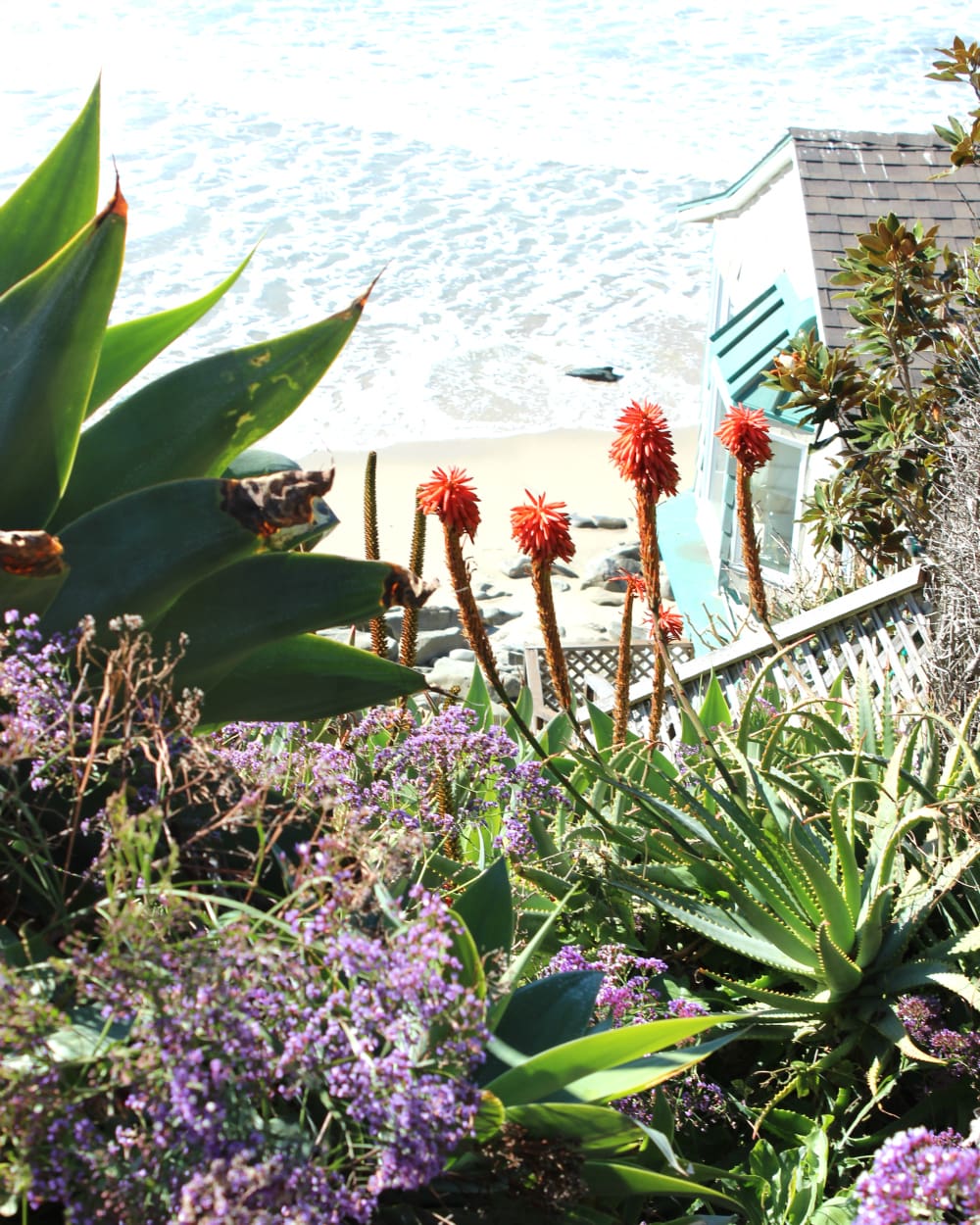 Laguna Beach, Pacific Edge Hotel, Driftwood Kitchen, California Travel, Stephanie Ziajka, Diary of a Debutante