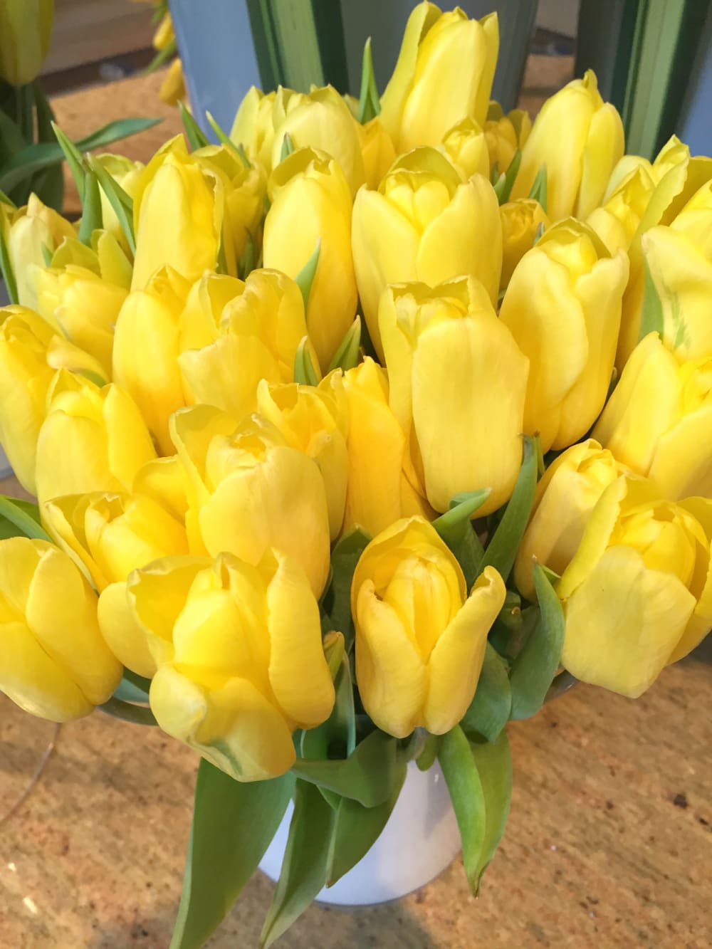 Yellow Tulips, Santa Monica, California, Sahale Snacks, Grab & Go Snacks, Stephanie Ziajka, Diary of a Debutante