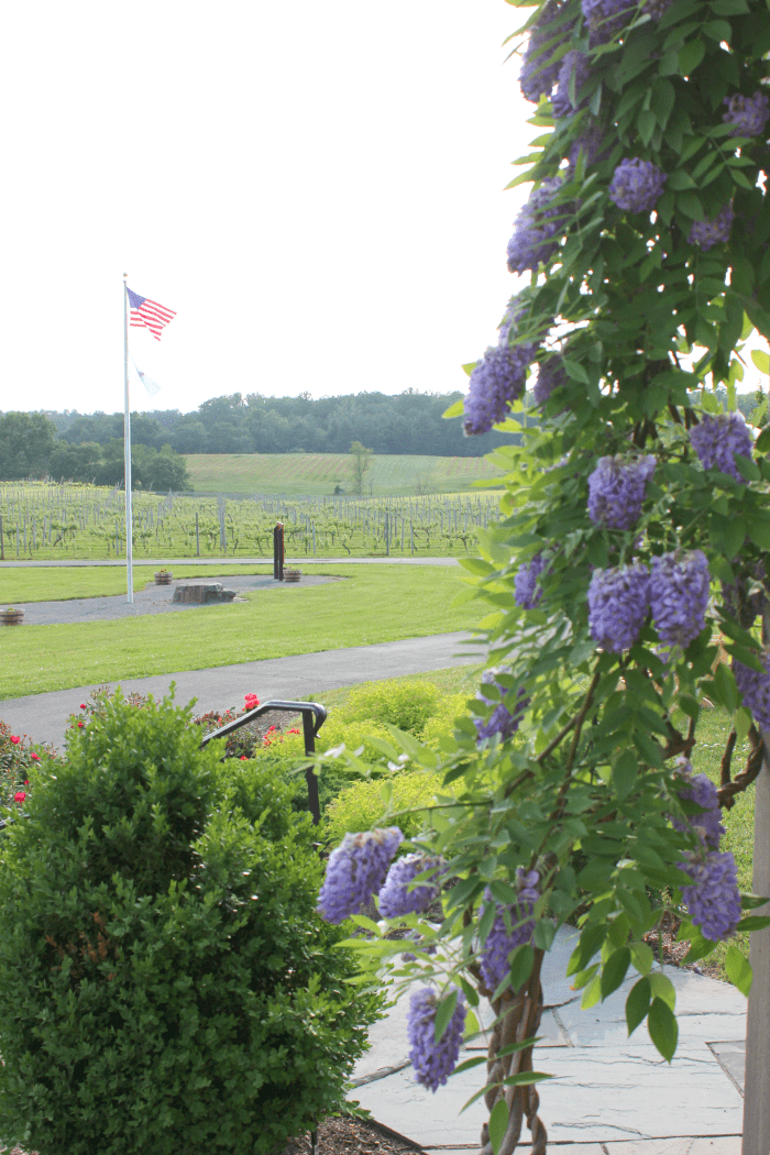Virginia Winery, Greenhill Winery, DC Travel Guide, Stephanie Ziajka, Diary of a Debutante