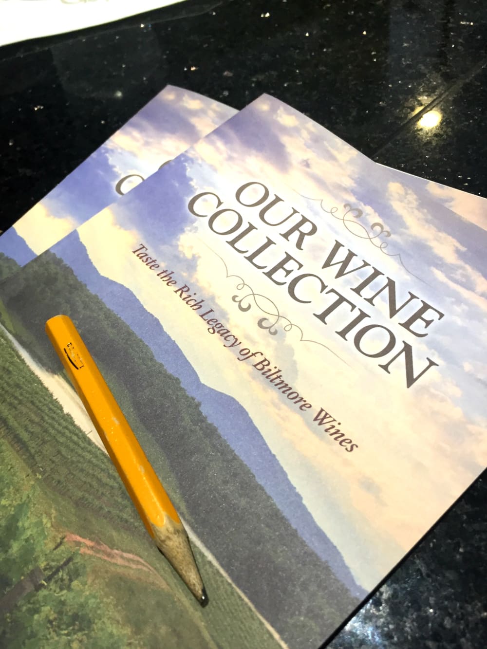 Ultimate Southern Road Trip, Southern Road Trip, American Road Trip, Asheville, North Carolina, Triple Falls, Stephanie Ziajka, Diary of a Debutante, The Biltmore, Biltmore North Caroline