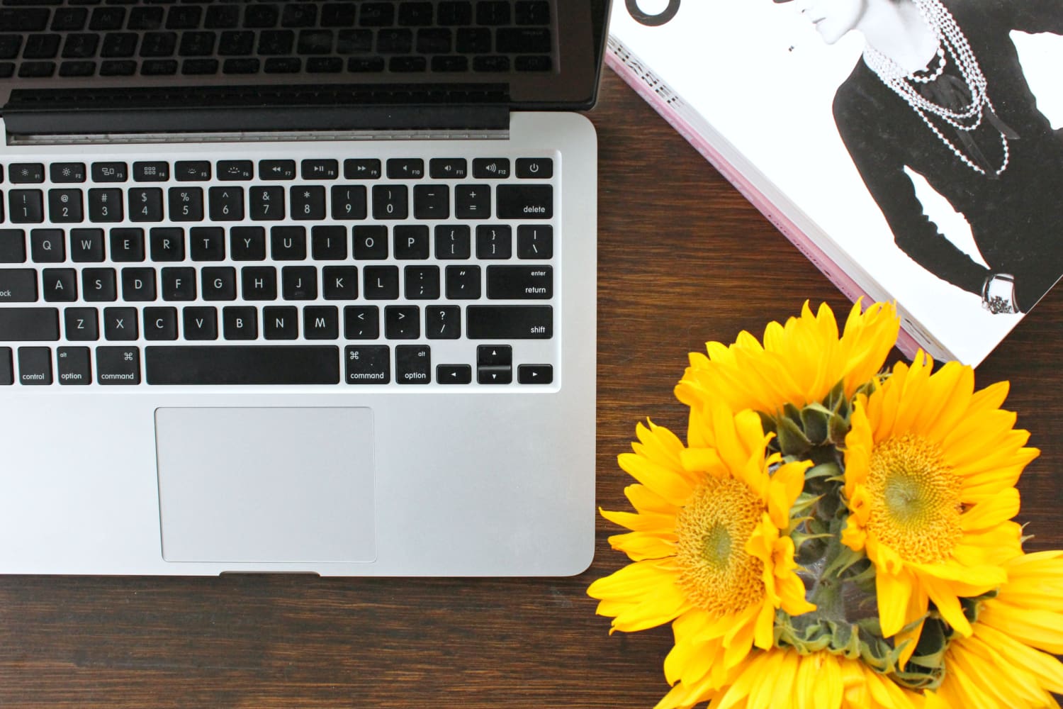 An all-new, free online shopping tool from Shoptagr