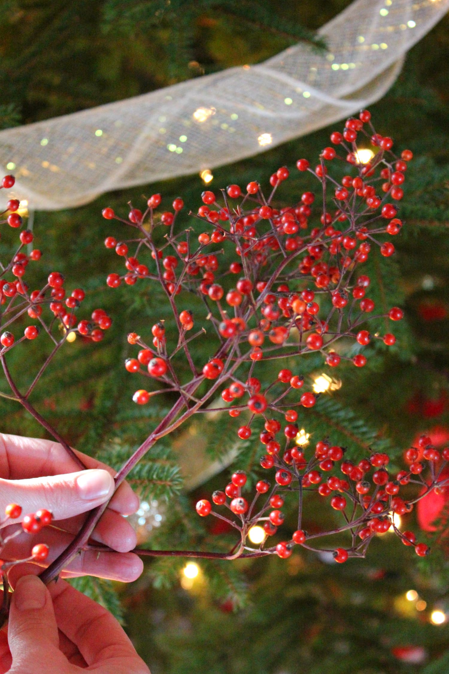 Tips for affordable country Christmas decor