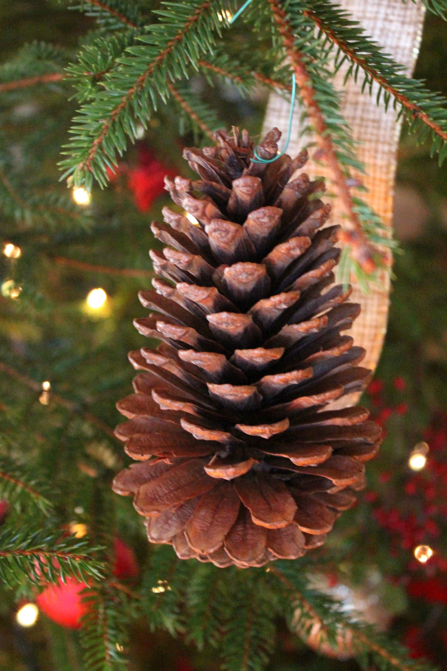 Tips for affordable country Christmas decor