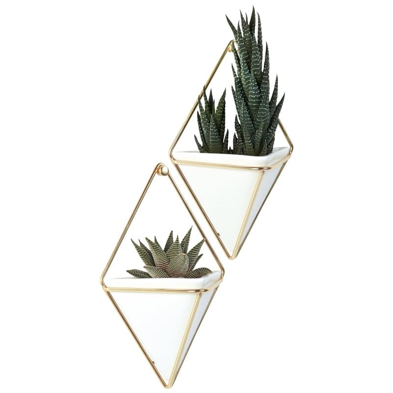 2017 Prime Day Shopping Tips