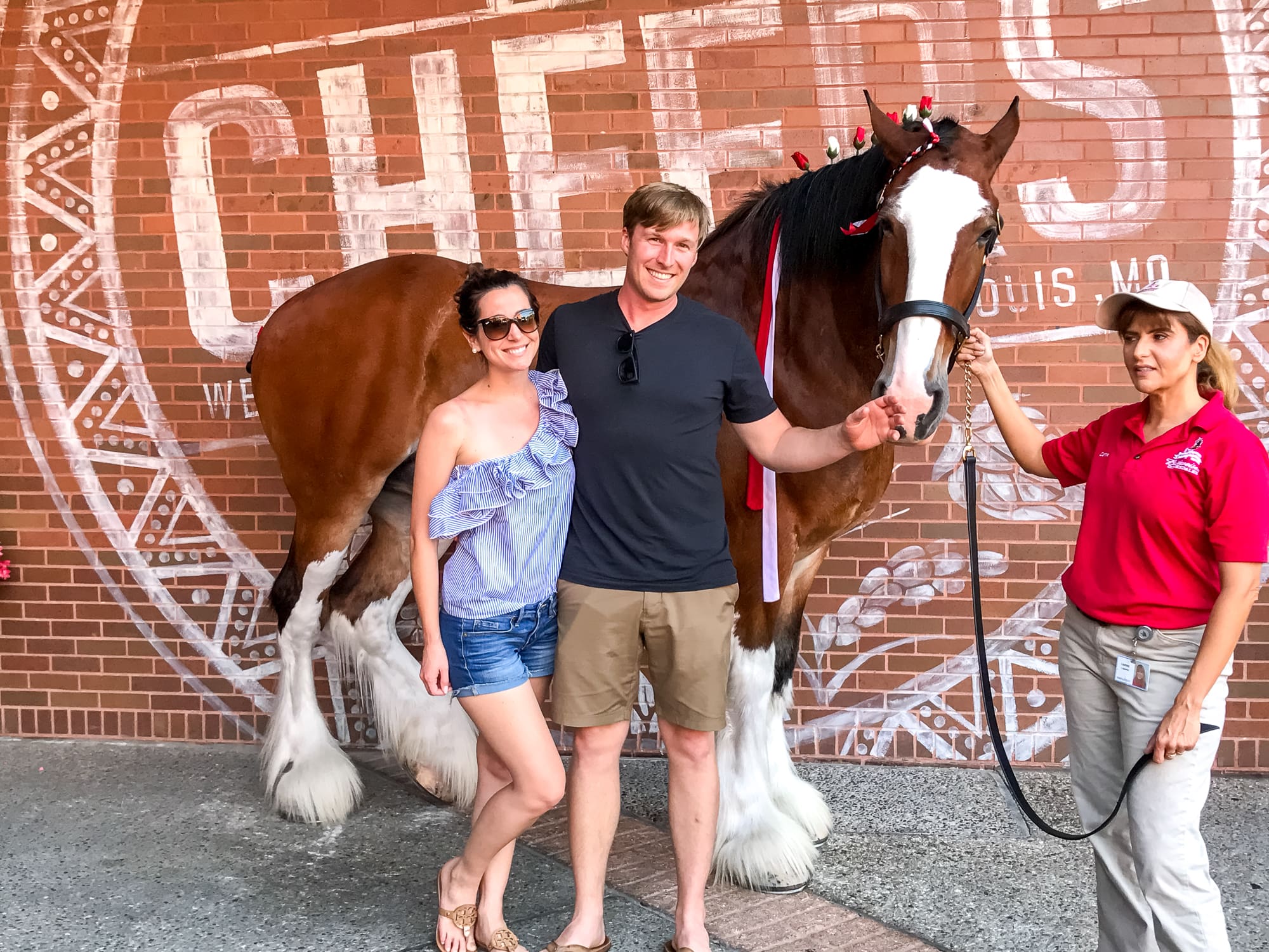 Looking for fun things to do in St Louis? This Gateway City weekend travel guide lists the best things to do (most of which are free), the best place to stay, and the best places to eat in the Gateway to the West!