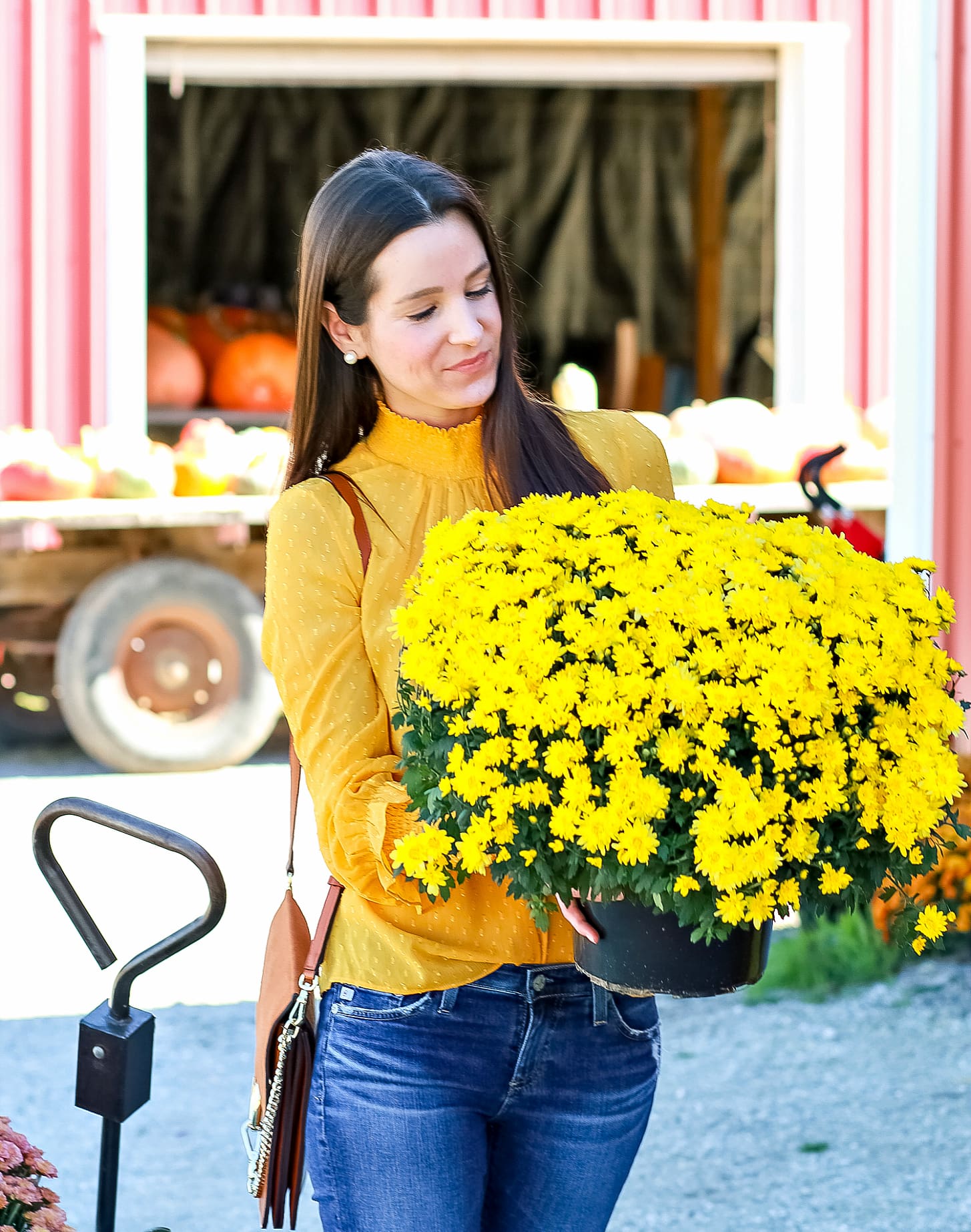 English Factory marigold swiss dot blouse with victorian collar, AG The Legging raw hem ankle skinny jeans, leopard flats, and brown Chloe Faye dupe bag | How to wear a victorian collar casually for fall by fashion blogger Stephanie Ziajka from Diary of a Debutante