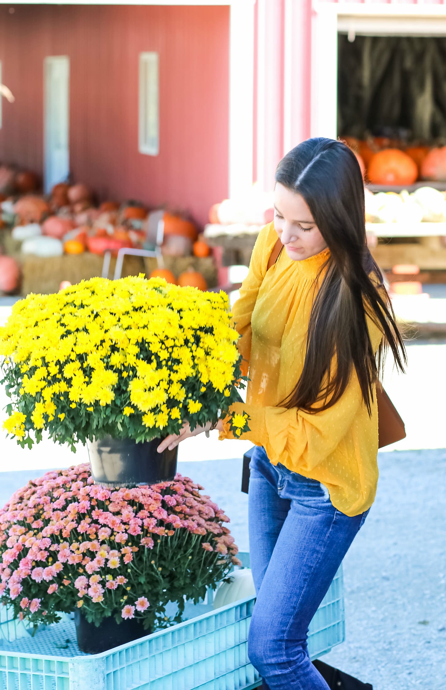 English Factory marigold swiss dot blouse with victorian collar, AG The Legging raw hem ankle skinny jeans, leopard flats, and brown Chloe Faye dupe bag | How to wear a victorian collar casually for fall by fashion blogger Stephanie Ziajka from Diary of a Debutante