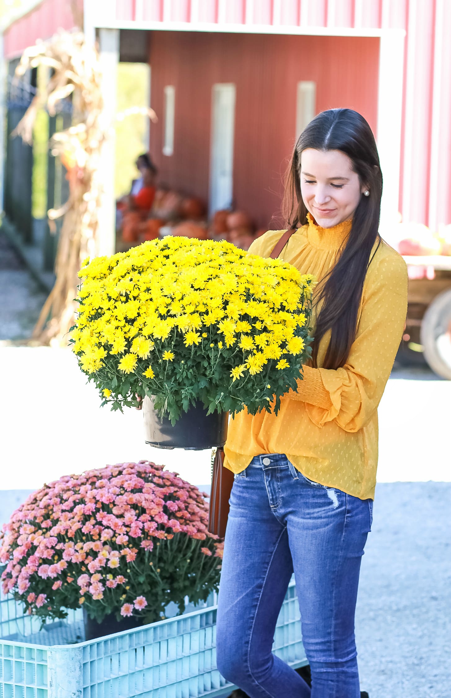 English Factory marigold swiss dot blouse with victorian collar, AG The Legging raw hem ankle skinny jeans, leopard flats, and brown Chloe Faye dupe bag | How to wear a victorian collar casually for fall by fashion blogger Stephanie Ziajka from Diary of a Debutante
