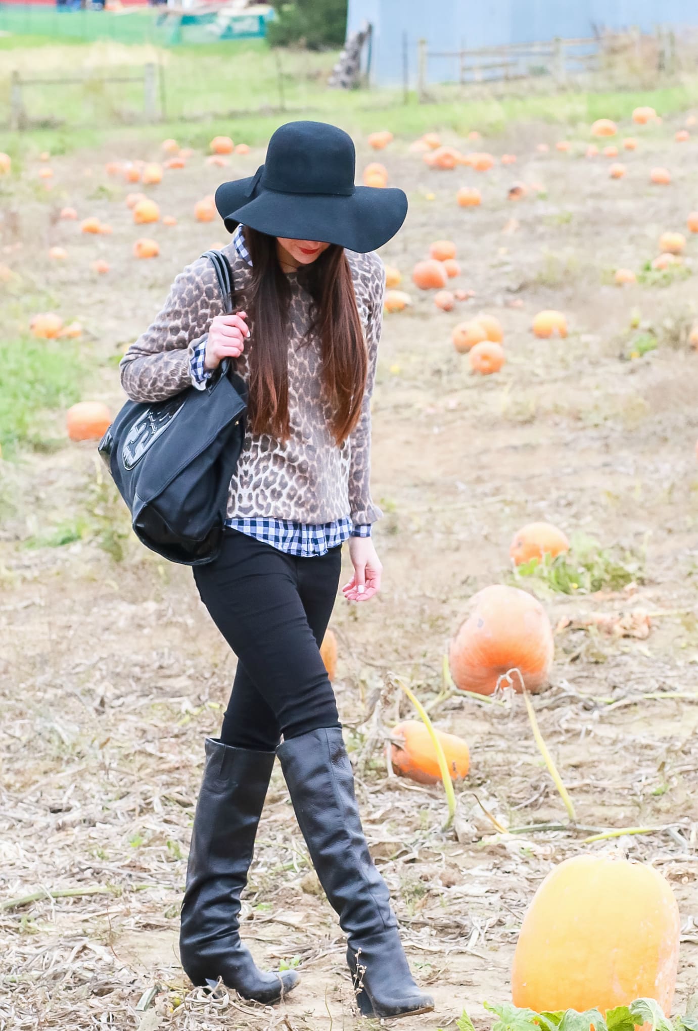 Black floppy hat with leopard crewneck sweater, J.Crew Factory blue gingham button down, black jeans, Nine West tall black boots, and a Tory Burch Ella tote | Comfy and casual fall outfit idea | How to wear a floppy hat in the fall by fashion blogger Stephanie Ziajka from Diary of a Debutante