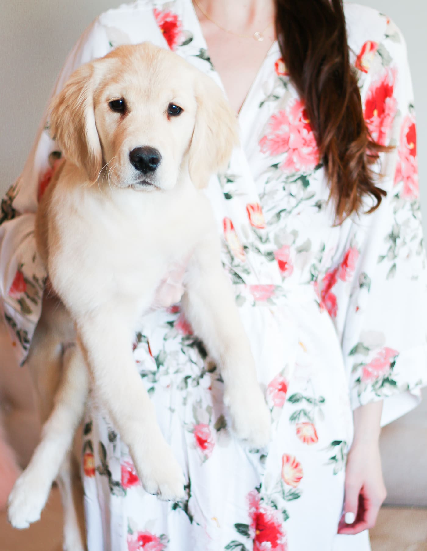 Cute golden retriever puppy, Yumi Kim floral robe, Truffoire skin care review, black truffle skincare, truffle skincare, Truffoire Review: The Benefits of Black Truffle Skincare by beauty blogger Stephanie Ziajka from Diary of a Debutante, Truffoire Black Collection review, Truffoire review