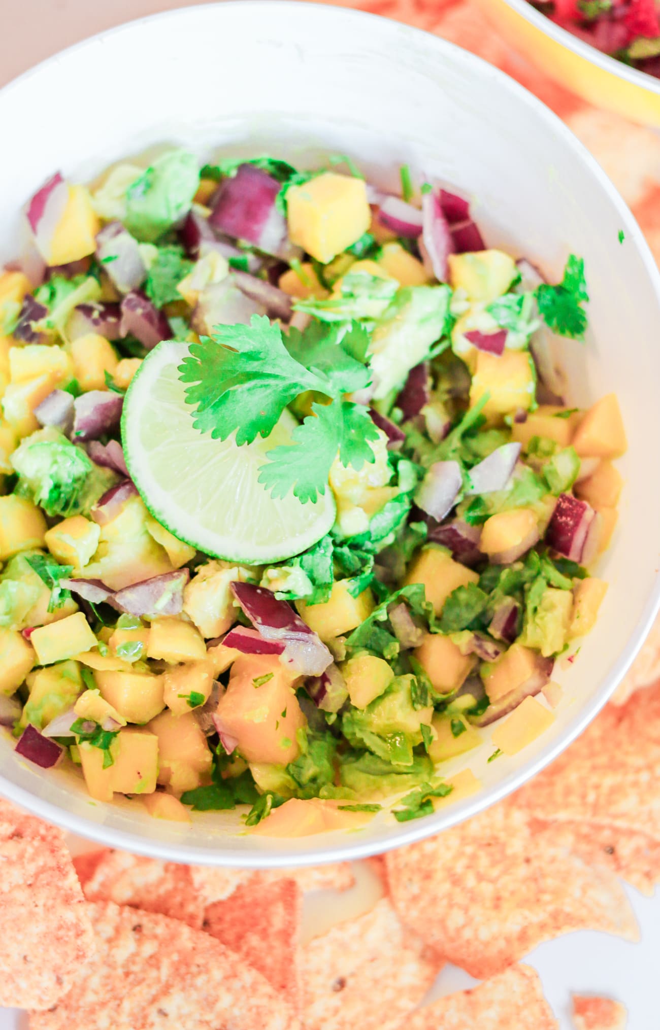 Two Quick Fresh Salsa Recipes for Your Cinco de Mayo Fiesta by southern lifestyle blogger Stephanie Ziajka from Diary of a Debutante, homemade salsa recipe, easy Cinco de Mayo salsa recipe, fresh mango habanero salsa recipe, quick mango and avocado salsa
