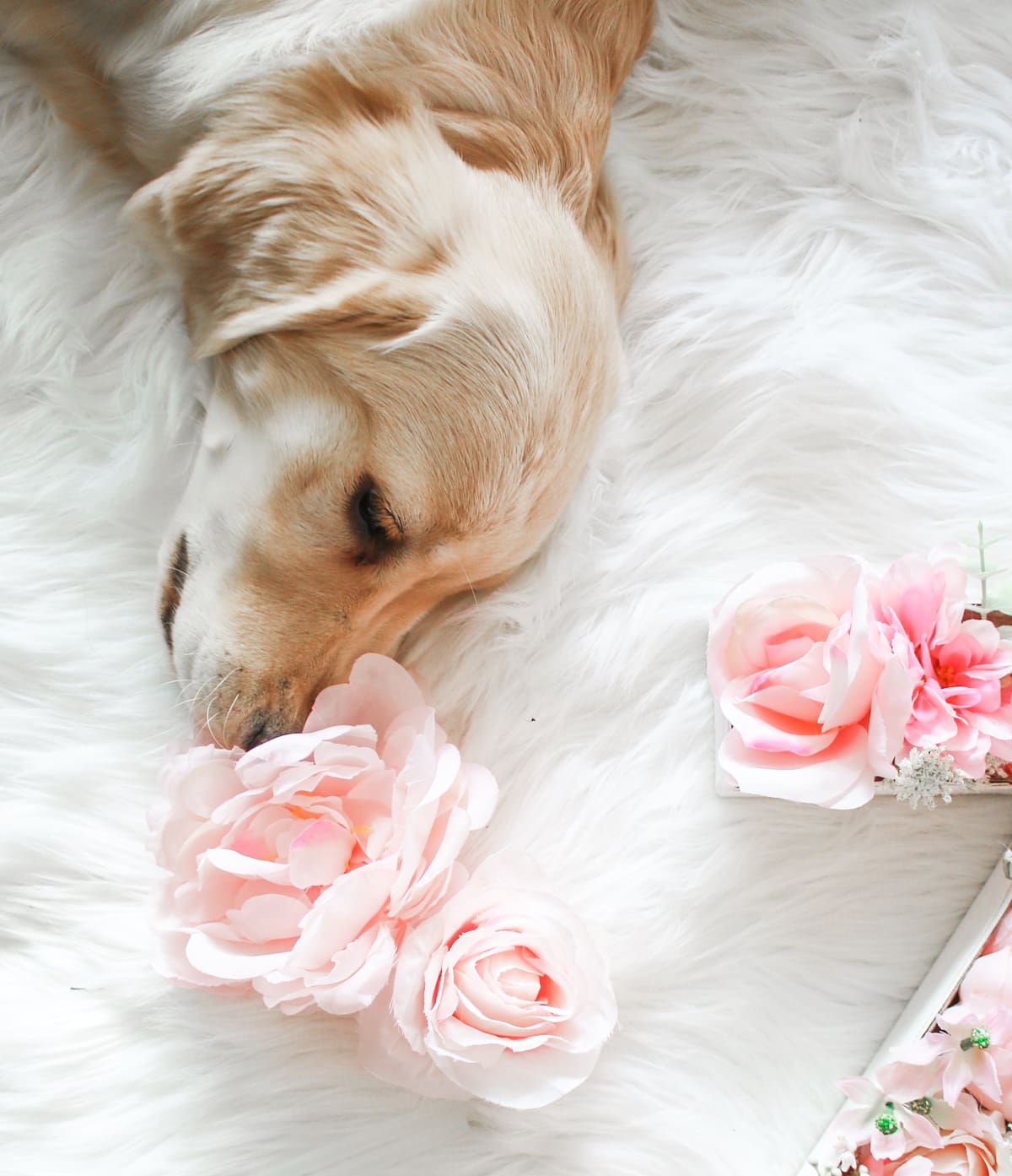 DIY Floral Monogrammed Door Hanger by southern lifestyle blogger Stephanie Ziajka from Diary of a Debutante, DIY birthday gifts for her, diy monogram door hanger, diy monogram letters