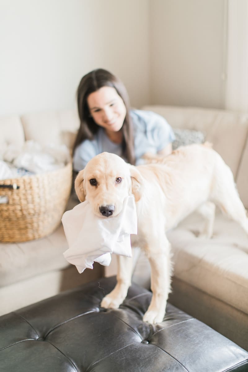 How to keep your clothes smelling fresh (even with pets) with Purex Crystals by southern blogger and dog mom Stephanie Ziajka from Diary of a Debutante, dog owner laundry hacks, pet odor removal, remove pet odor in laundry, pet laundry, laundry with pets, best laundry detergent for pet odor, add to laundry to remove odor, cute golden retriever in laundry, Purex Crystals review