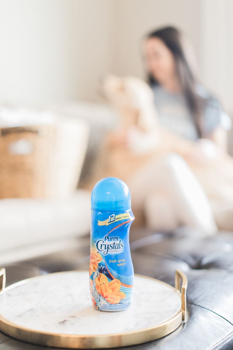 How to keep your clothes smelling fresh (even with pets) with Purex Crystals by southern blogger and dog mom Stephanie Ziajka from Diary of a Debutante, dog owner laundry hacks, pet odor removal, remove pet odor in laundry, pet laundry, laundry with pets, best laundry detergent for pet odor, add to laundry to remove odor, cute golden retriever in laundry, Purex Crystals review