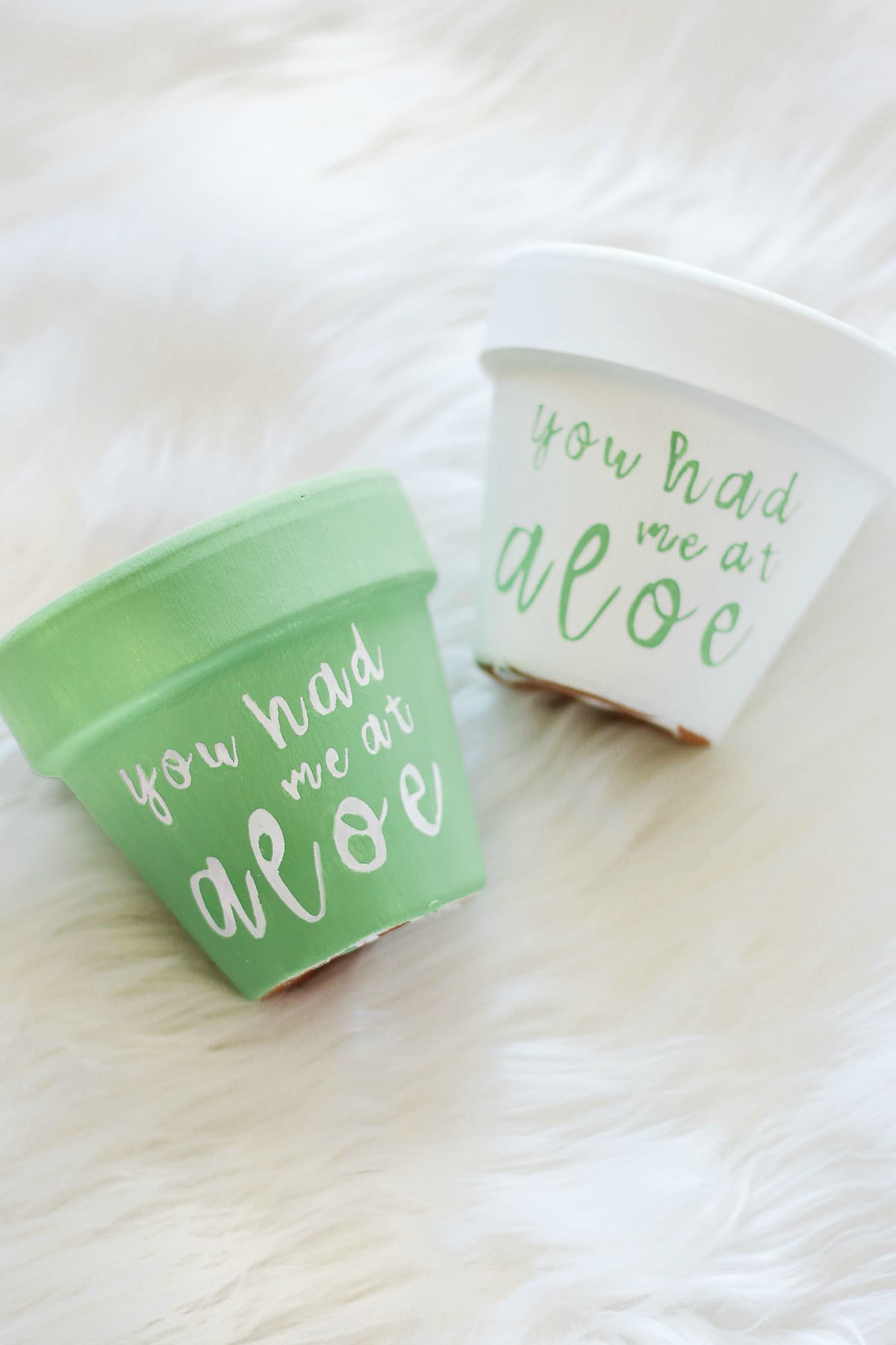 "You Had Me at Aloe" DIY succulent planter by southern blogger Stephanie Ziajka from Diary of a Debutante, gift idea for new neighbors, easy clay pot craft ideas, terracotta ideas, cute aloe vera planter, American Greetings featured artists cards