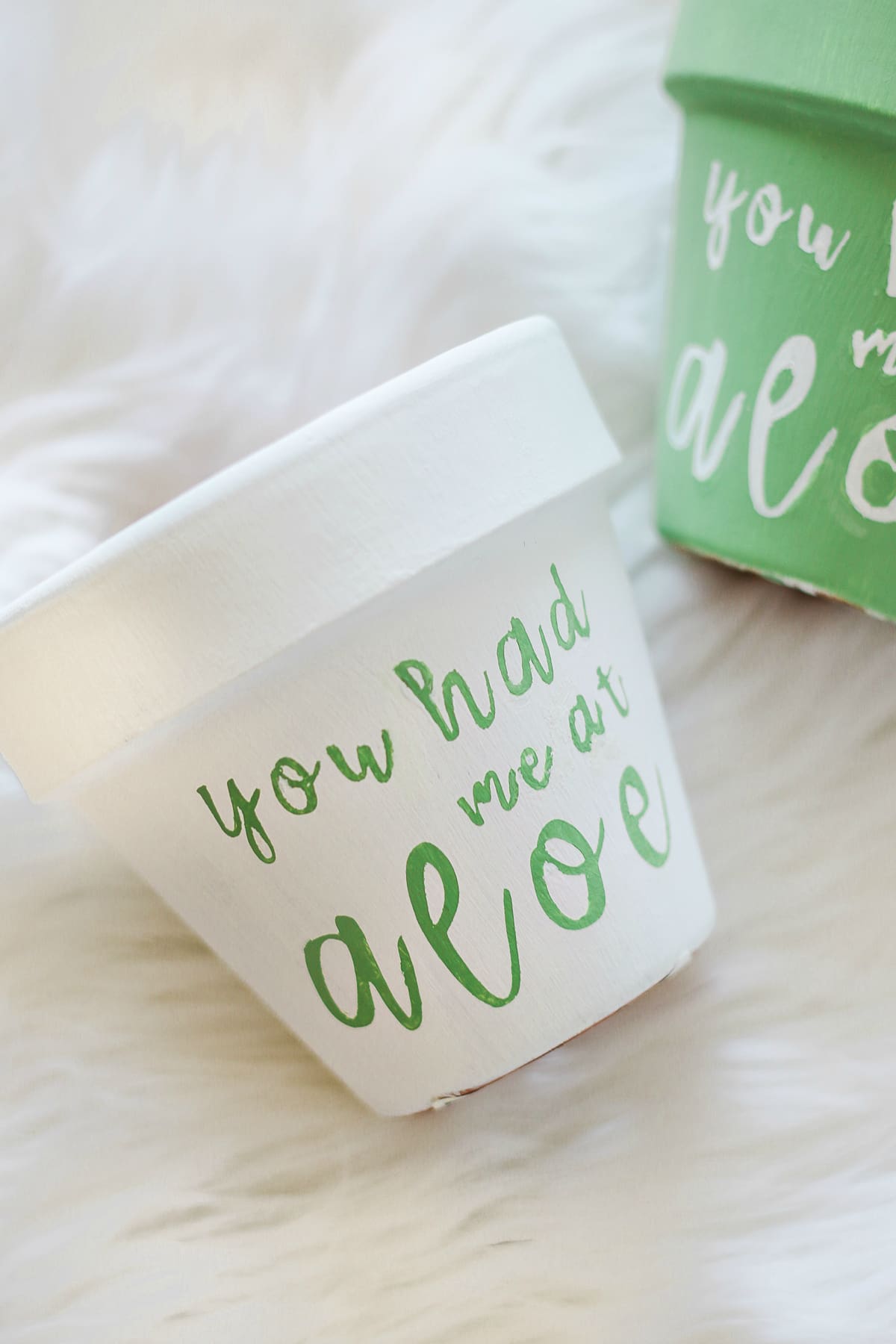 "You Had Me at Aloe" DIY succulent planter by southern blogger Stephanie Ziajka from Diary of a Debutante, gift idea for new neighbors, easy clay pot craft ideas, terracotta ideas, cute aloe vera planter, American Greetings featured artists cards