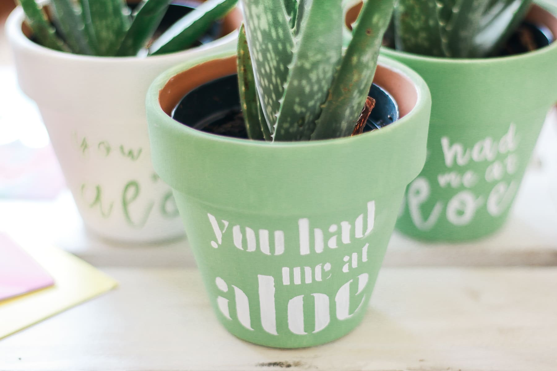"You Had Me at Aloe" DIY succulent planter by southern blogger Stephanie Ziajka from Diary of a Debutante, gift idea for new neighbors, easy clay pot craft ideas, terracotta ideas, cute aloe vera planter, American Greetings featured artists cards