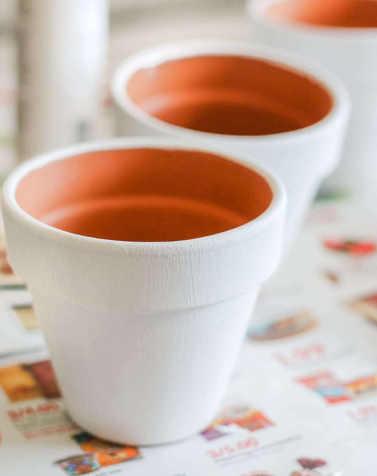 "You Had Me at Aloe" DIY succulent planter by southern blogger Stephanie Ziajka from Diary of a Debutante, gift idea for new neighbors, easy clay pot craft ideas, terracotta ideas, cute aloe vera planter, American Greetings featured artists cards
