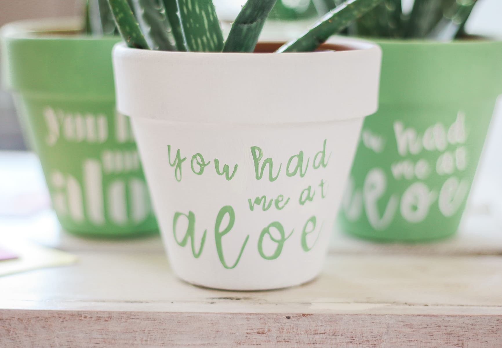 "You Had Me at Aloe" DIY succulent planter by southern blogger Stephanie Ziajka from Diary of a Debutante, gift idea for new neighbors, easy clay pot craft ideas, terracotta ideas, cute aloe vera planter, American Greetings featured artists cards