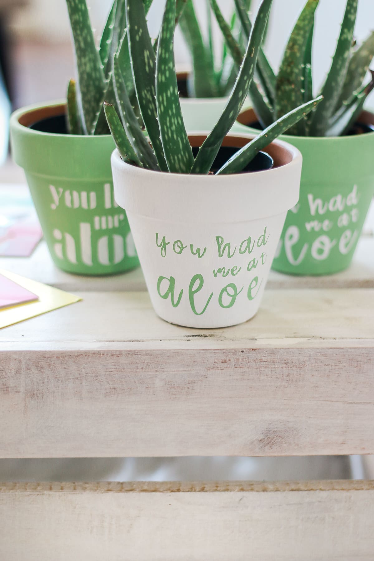 "You Had Me at Aloe" DIY succulent planter by southern blogger Stephanie Ziajka from Diary of a Debutante, gift idea for new neighbors, easy clay pot craft ideas, terracotta ideas, cute aloe vera planter, American Greetings featured artists cards