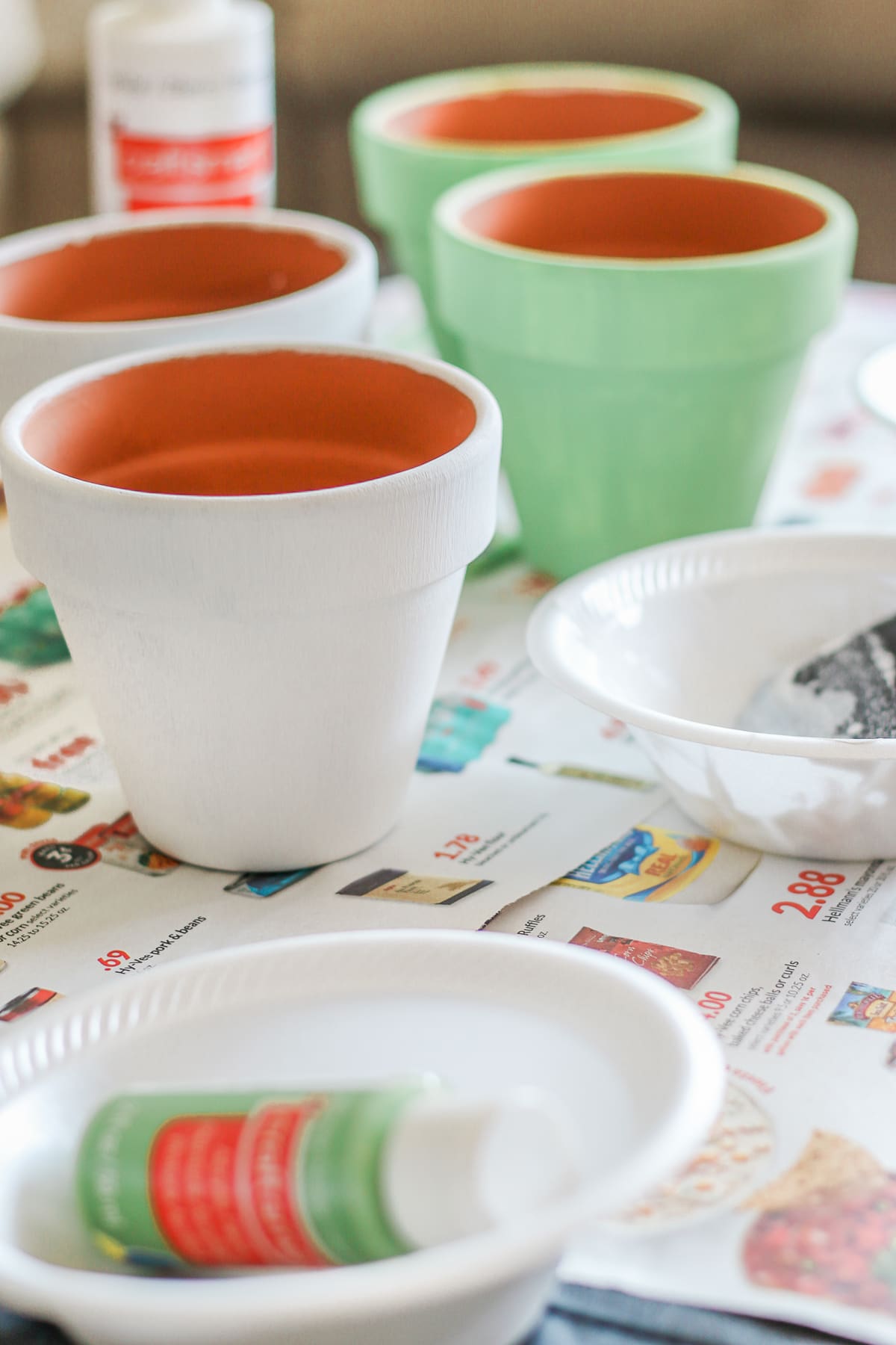 "You Had Me at Aloe" DIY succulent planter by southern blogger Stephanie Ziajka from Diary of a Debutante, gift idea for new neighbors, easy clay pot craft ideas, terracotta ideas, cute aloe vera planter, American Greetings featured artists cards