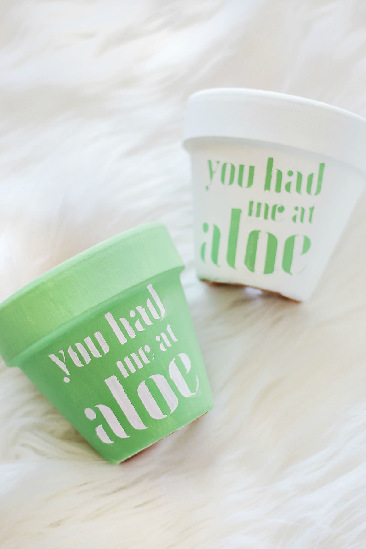 "You Had Me at Aloe" DIY succulent planter by southern blogger Stephanie Ziajka from Diary of a Debutante, gift idea for new neighbors, easy clay pot craft ideas, terracotta ideas, cute aloe vera planter, American Greetings featured artists cards