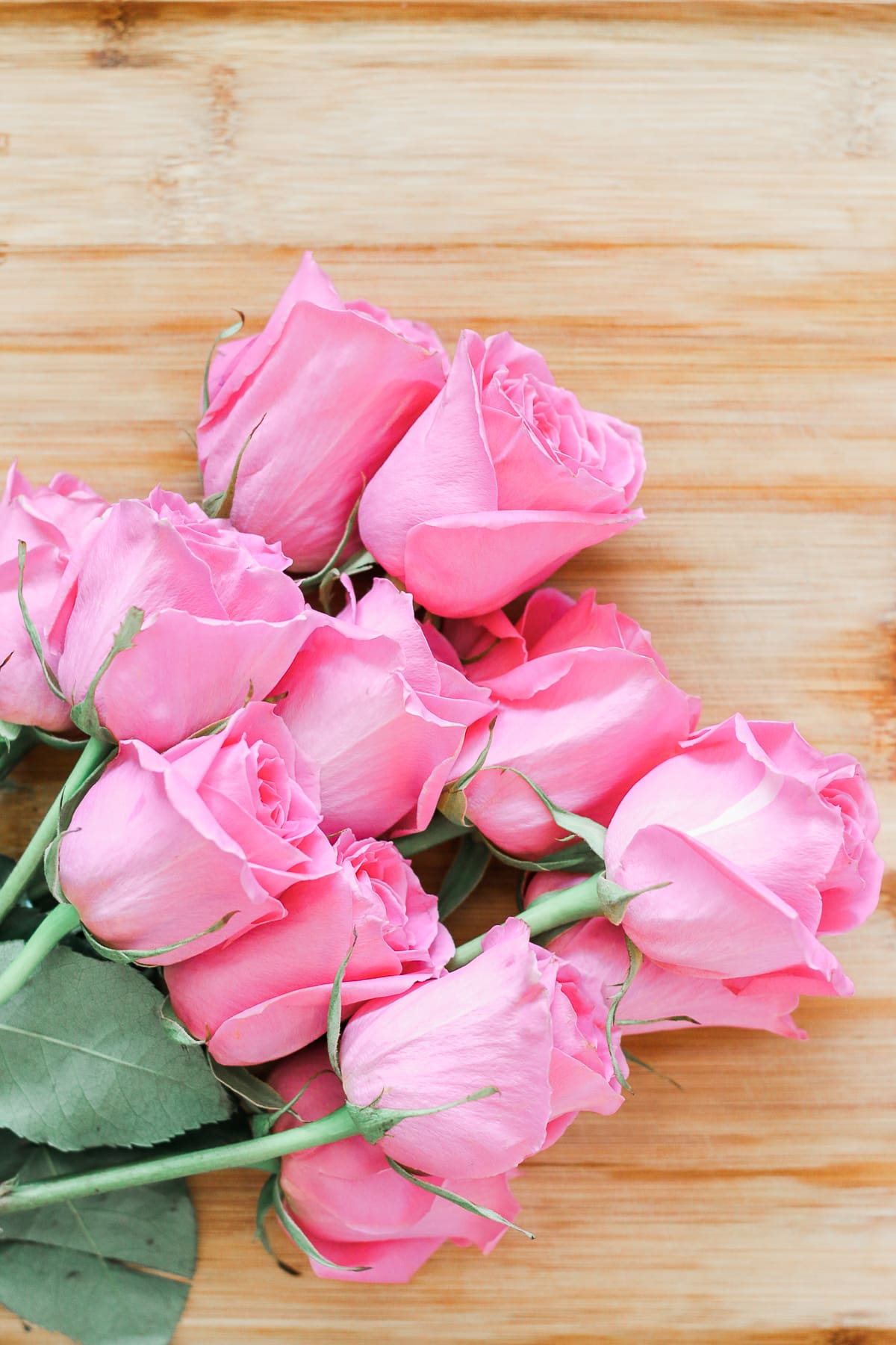 DIY rose sugar scrub recipe made with white sugar, coconut oil, rose essential oil, and fresh rose petals by southern blogger Stephanie Ziajka from Diary of a Debutante, DIY sugar scrub recipe, diy sugar body scrub, diy sugar scrub gift, best diy sugar scrub