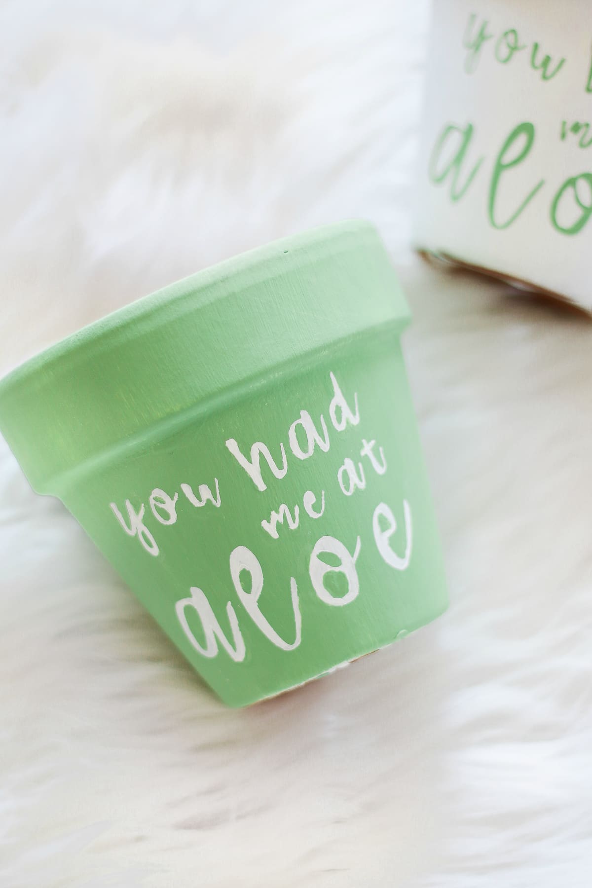 "You Had Me at Aloe" DIY succulent planter by southern blogger Stephanie Ziajka from Diary of a Debutante, gift idea for new neighbors, easy clay pot craft ideas, terracotta ideas, cute aloe vera planter, American Greetings featured artists cards
