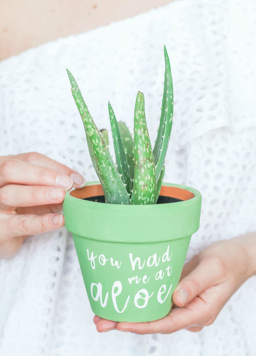 "You Had Me at Aloe" DIY succulent planter by southern blogger Stephanie Ziajka from Diary of a Debutante, gift idea for new neighbors, easy clay pot craft ideas, terracotta ideas, cute aloe vera planter, American Greetings featured artists cards