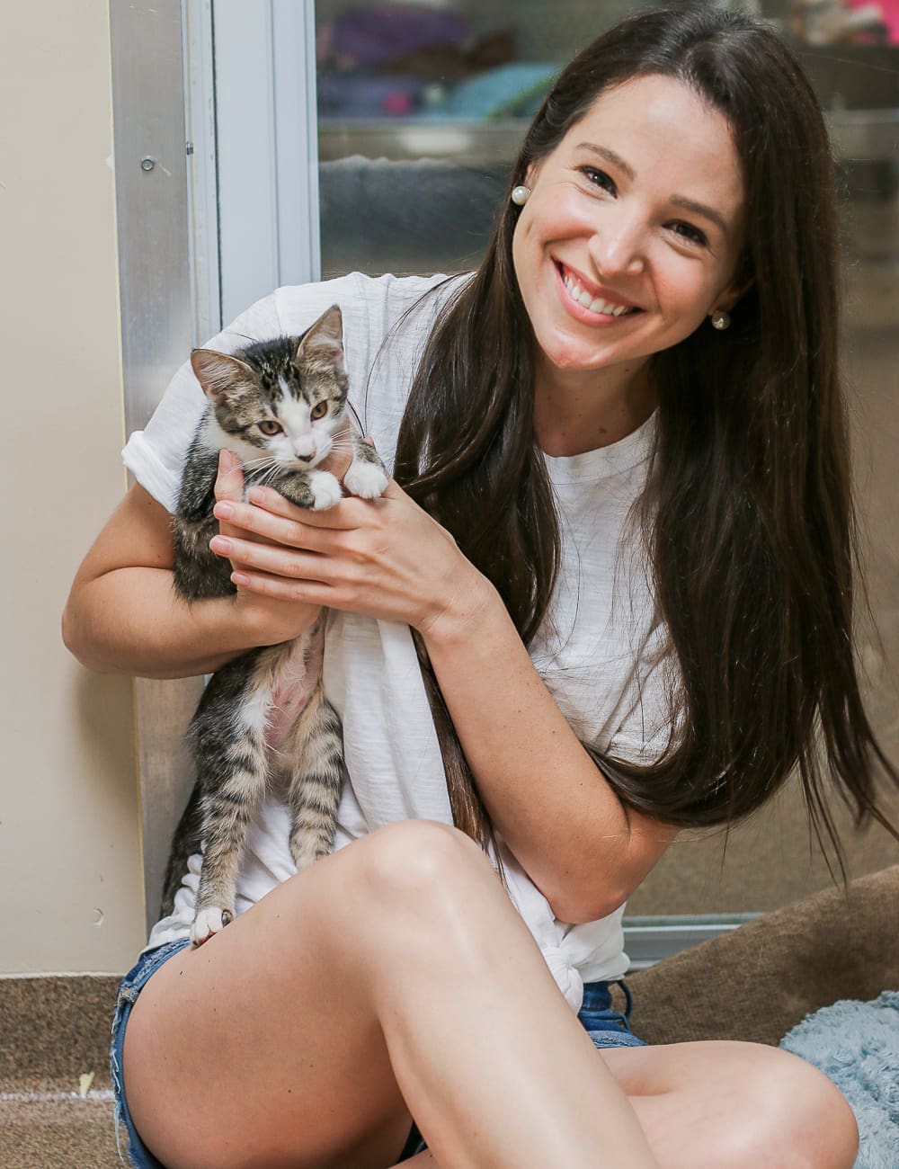 A day at Wayside Waifs Animal Shelter by Missouri blogger and dog mom Stephanie Ziajka from Diary of a Debutante, Clear the Shelters Day information, Clear the Shelters Day 2018