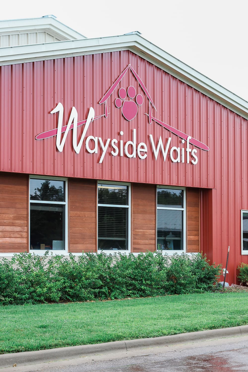 A day at Wayside Waifs Animal Shelter by Missouri blogger and dog mom Stephanie Ziajka from Diary of a Debutante, Clear the Shelters Day information, Clear the Shelters Day 2018