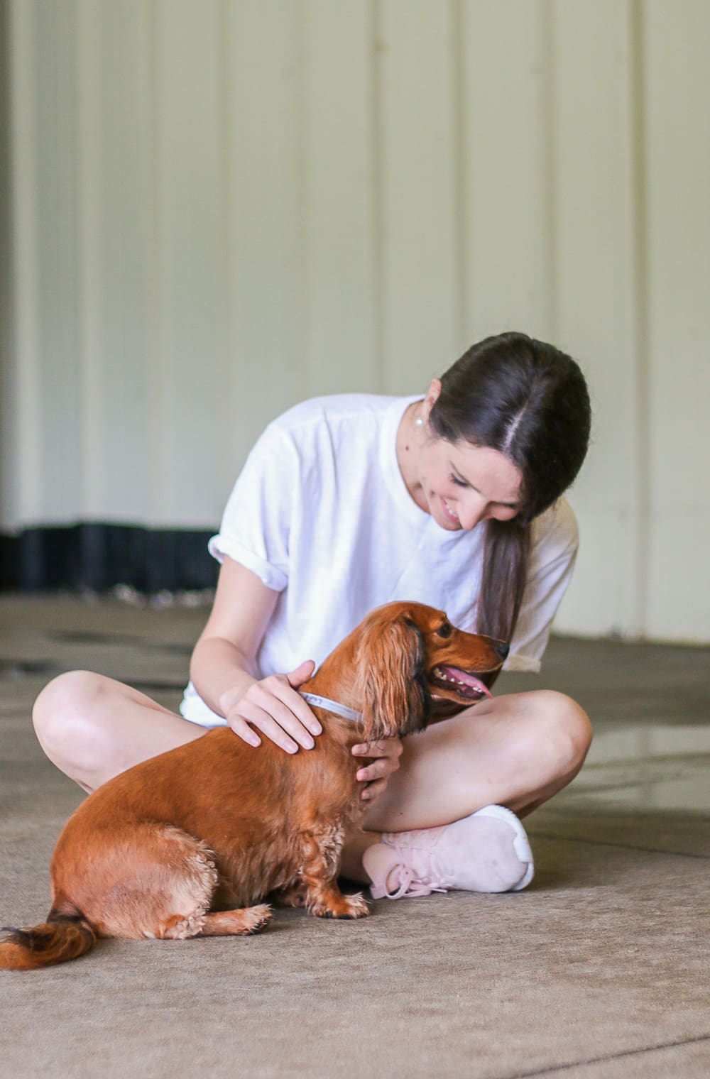 A day at Wayside Waifs Animal Shelter by Missouri blogger and dog mom Stephanie Ziajka from Diary of a Debutante, Clear the Shelters Day information, Clear the Shelters Day 2018