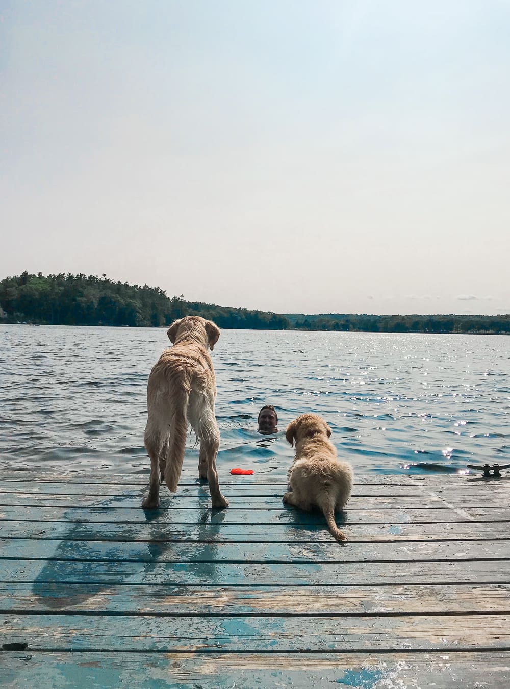 Maine vacation recap, Summer Bucket List: The Best Things to Do in Maine in Summer by southern lifestyle blogger Stephanie Ziajka from Diary of a Debutante, Maine bucket list, things to do in Maine, Lake Damariscotta, things to do in Damariscotta Maine