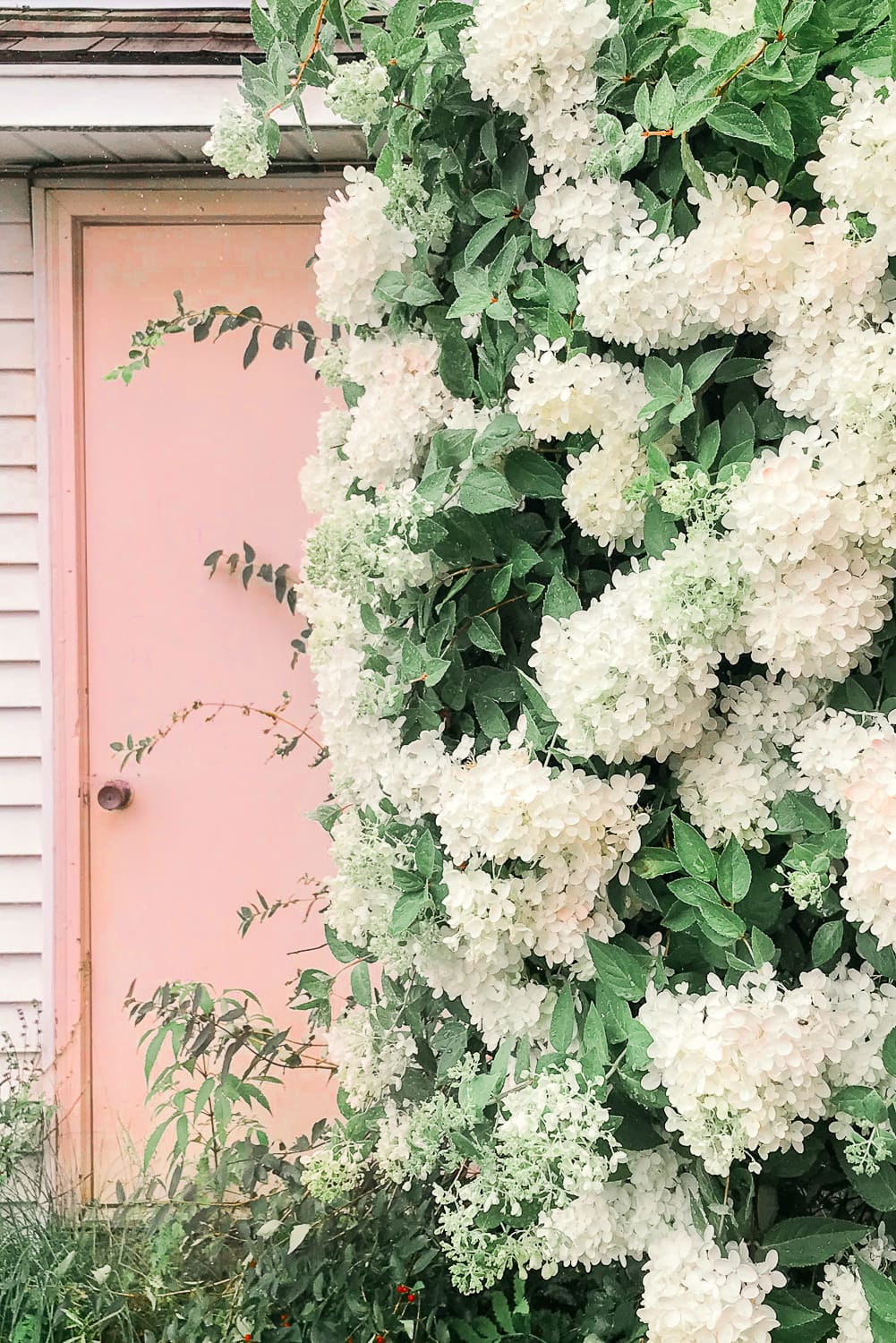 Maine vacation recap, Summer Bucket List: The Best Things to Do in Maine in Summer by southern lifestyle blogger Stephanie Ziajka from Diary of a Debutante, Maine bucket list, things to do in Maine, things to do in Damariscotta Maine
