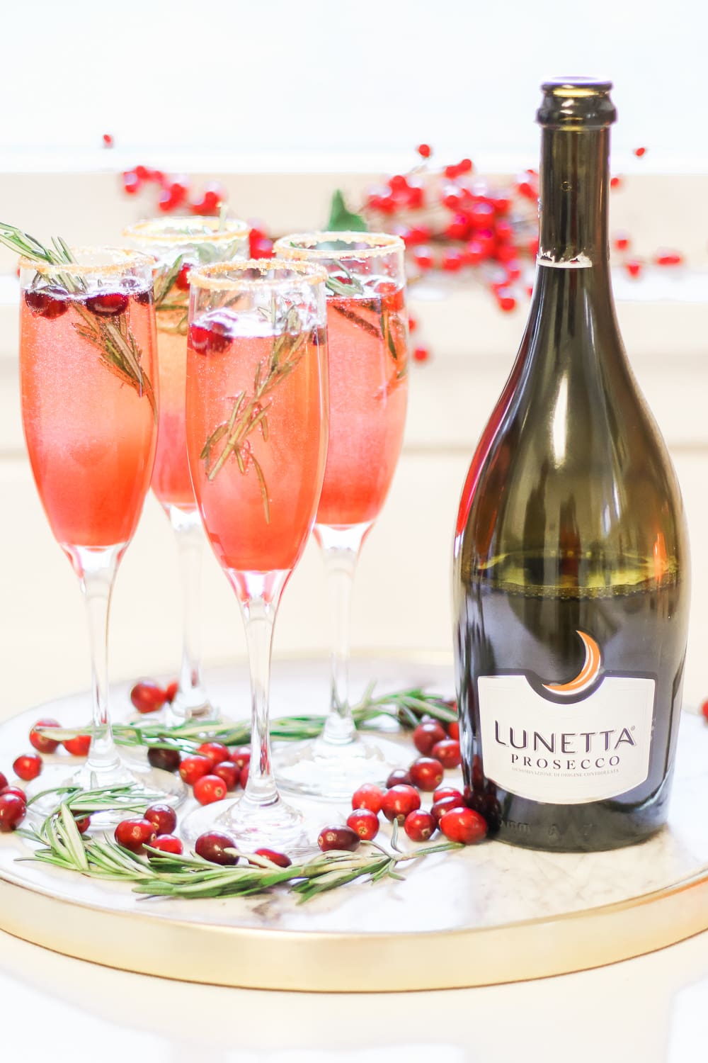 Ombré Cranberry Sparkler: A Cranberry Gin Cocktail for the Holidays by southern lifestyle blogger Stephanie Ziajka from Diary of a Debutante, Lunetta Prosecco review, fresh cranberry cocktail, red ombre cocktail