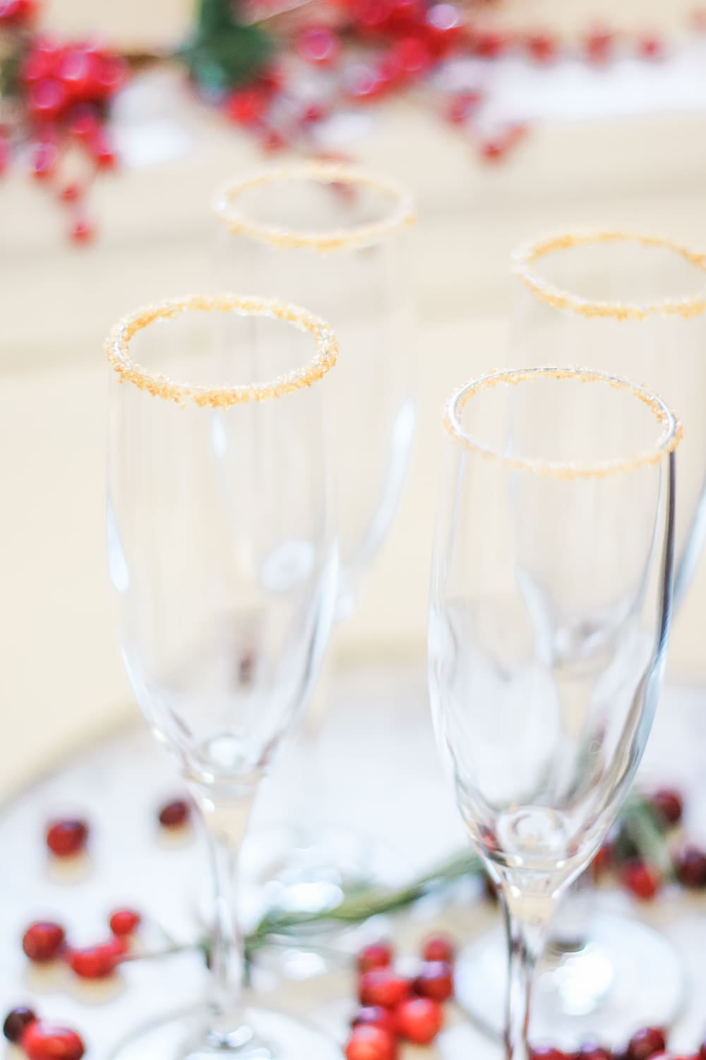 Ombré Cranberry Sparkler: A Cranberry Gin Cocktail for the Holidays by southern lifestyle blogger Stephanie Ziajka from Diary of a Debutante, Lunetta Prosecco review, fresh cranberry cocktail, red ombre cocktail