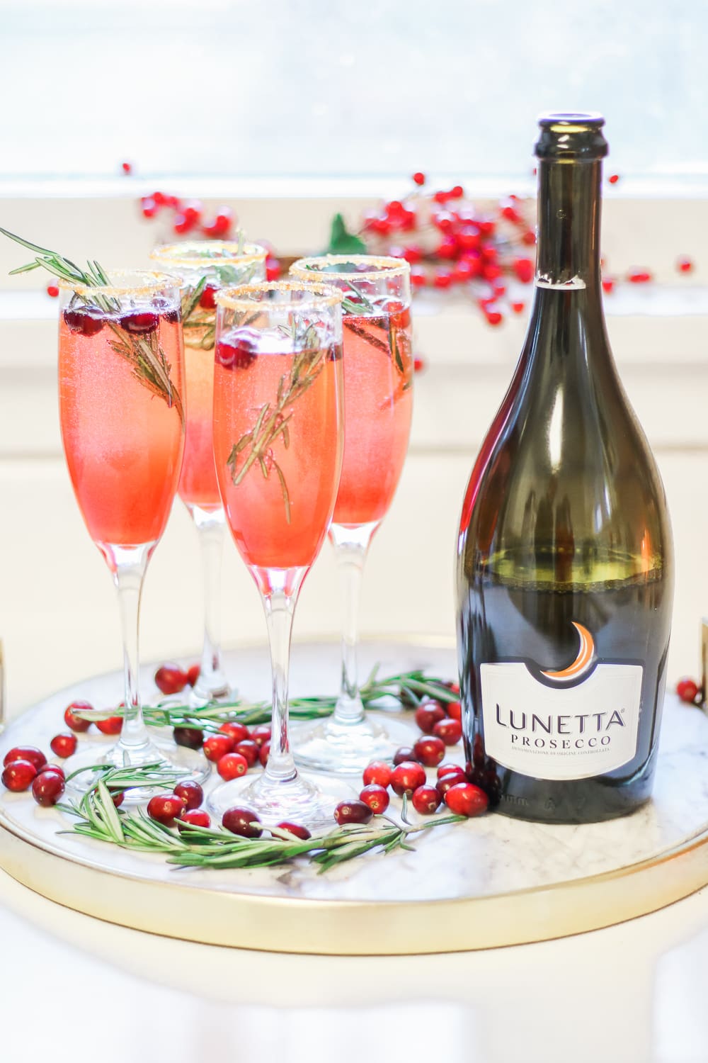 Ombré Cranberry Sparkler: A Cranberry Gin Cocktail for the Holidays by southern lifestyle blogger Stephanie Ziajka from Diary of a Debutante, Lunetta Prosecco review, fresh cranberry cocktail, red ombre cocktail