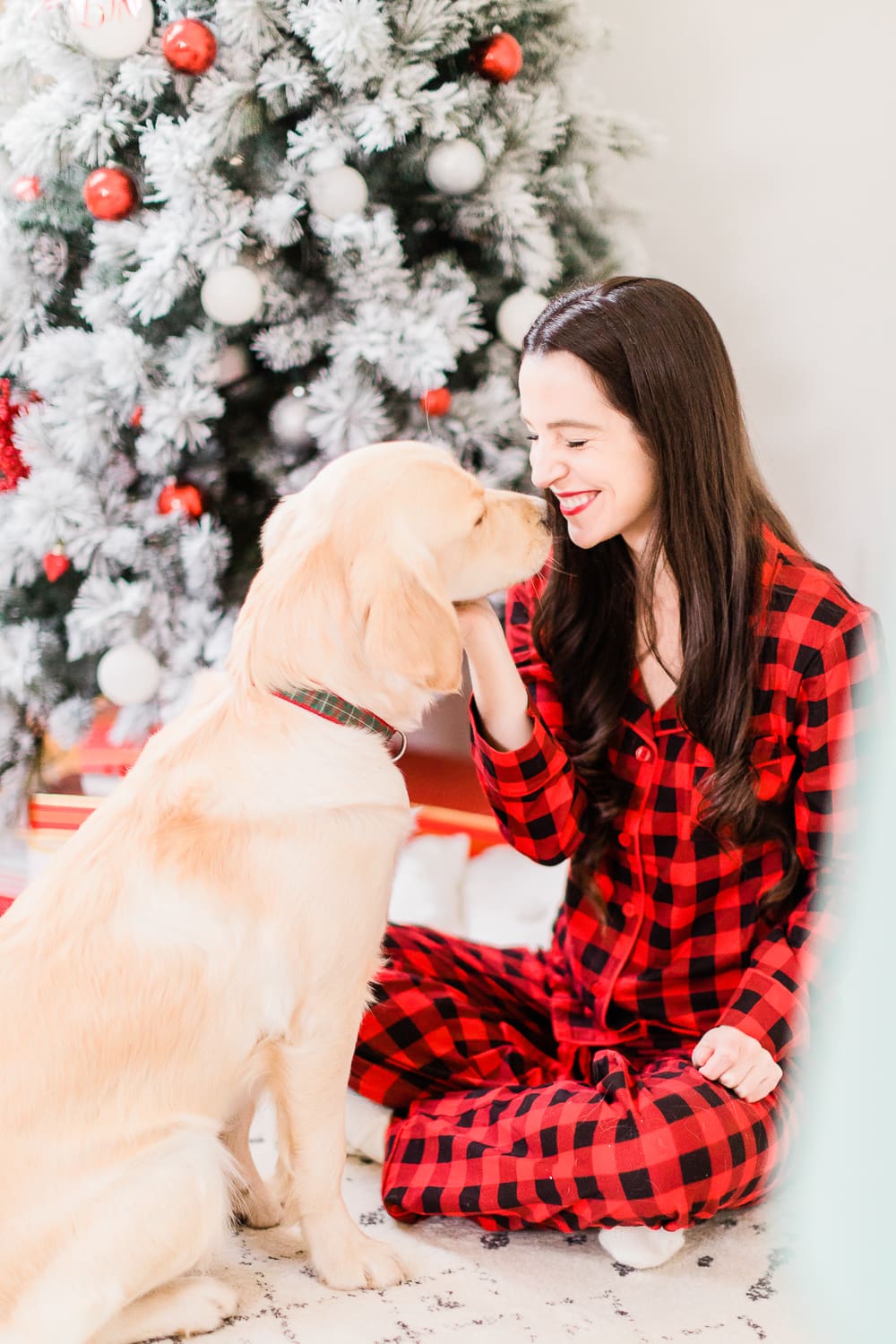 A Golden Retriever Christmas: Happy Holidays from Our Furry Family to Yours by southern lifestyle blogger and golden retriever dog mom Stephanie Ziajka from Diary of a Debutante