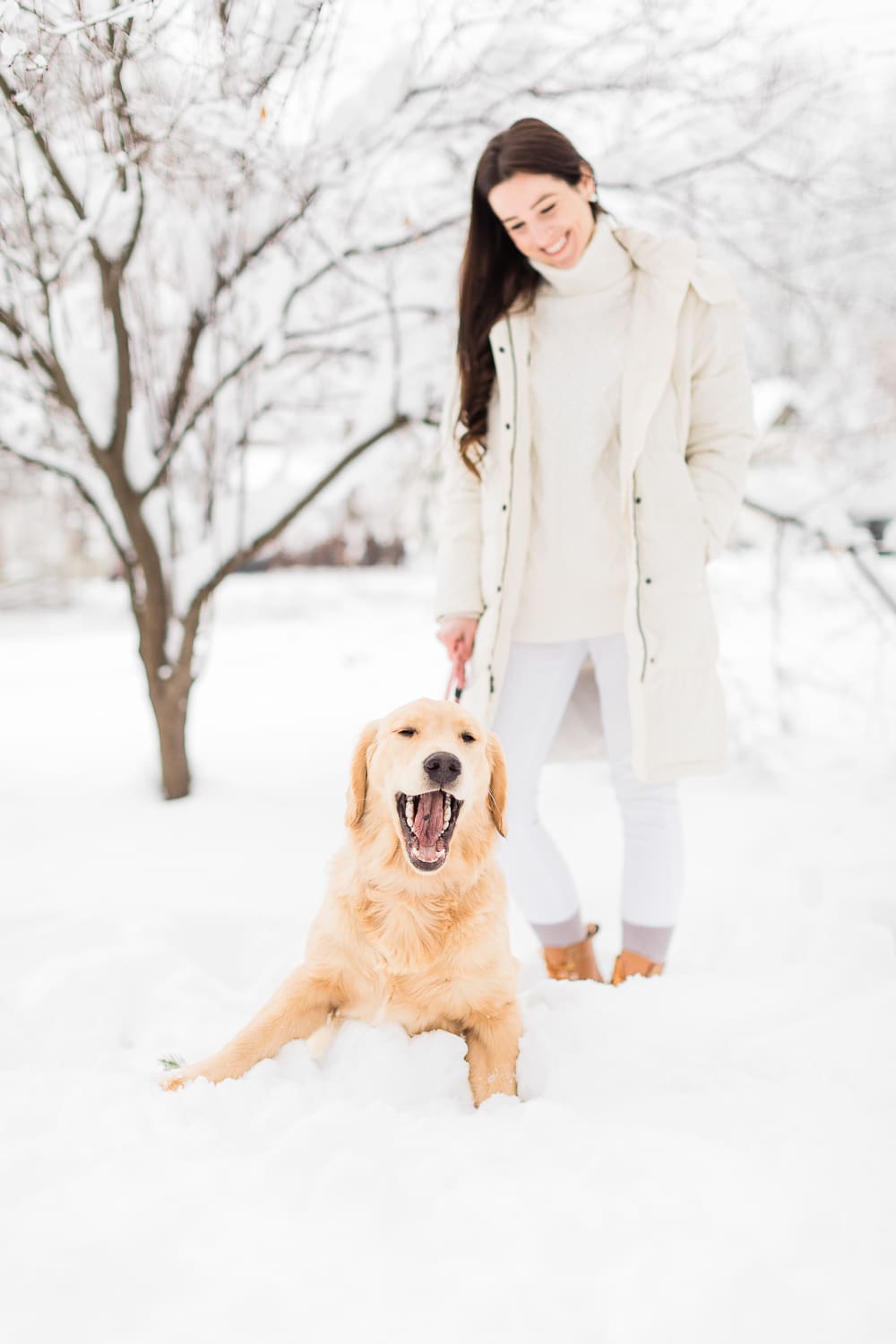 How to Style Bean Boots with the LLBean Ultrawarm Coat by affordable fashion and southern lifestyle blogger Stephanie Ziajka from Diary of a Debutante, LLBean Ultrawarm Coat Three Quarter Length in paperwhite, bean boots style, parka outfit ideas, white sweater outfit, LLBean bean boots styled with LLBean ultrawarm coat, white skinny jeans, and a white oversized turtleneck sweater, golden retriever puppy in the snow