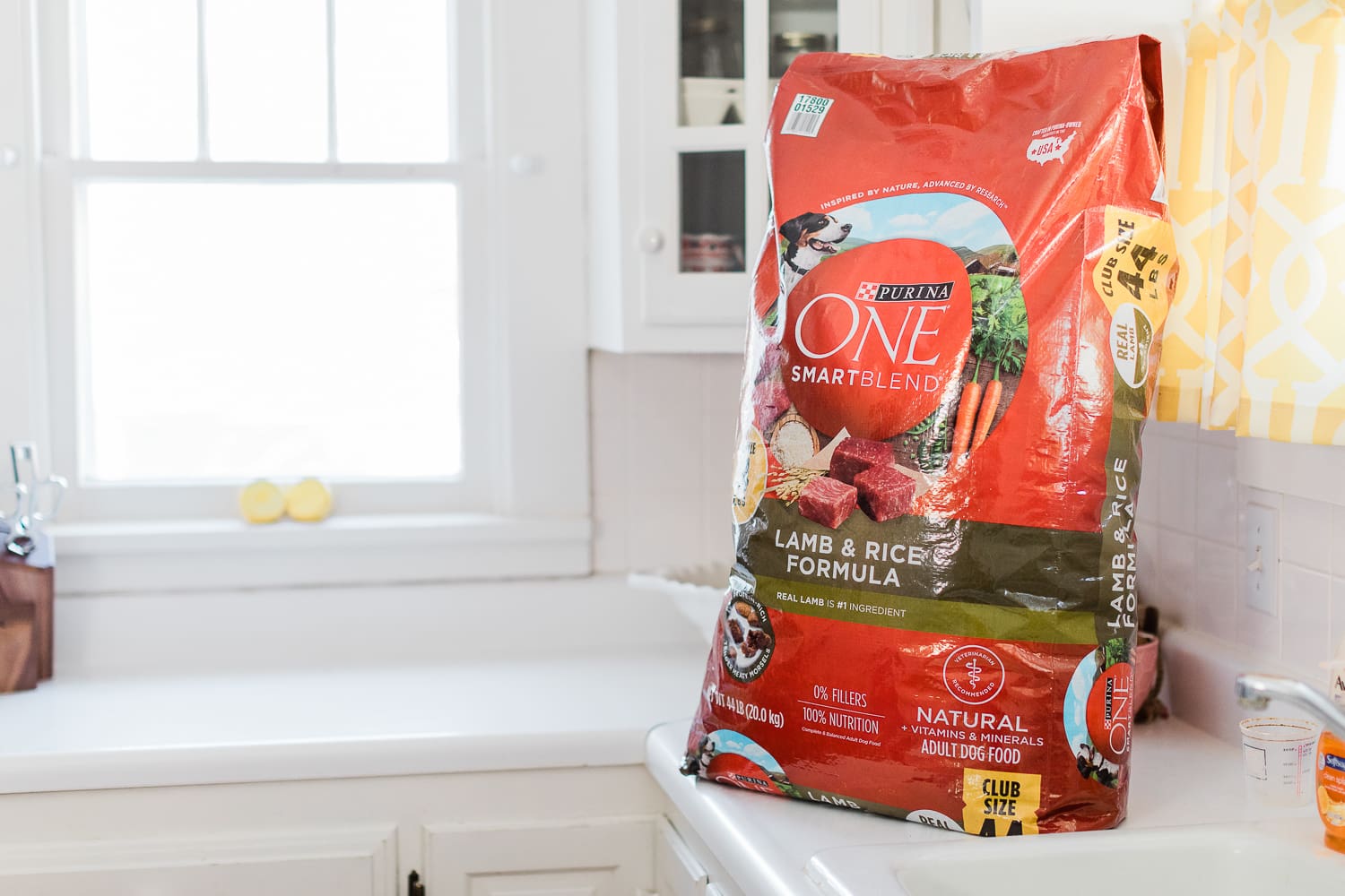 5 Easy Ways to Save on Pet Supplies and Affordable Quality Dog Food by the popular affordable fashion and southern lifestyle blog Diary of a Debutante by Stephanie Ziajka, best cheap dry dog food, Purina One Smartblend Lamb and Rice Formula at Sam's Club, best dog food at Sam's Club, cute golden retriever puppies, cute golden retrievers